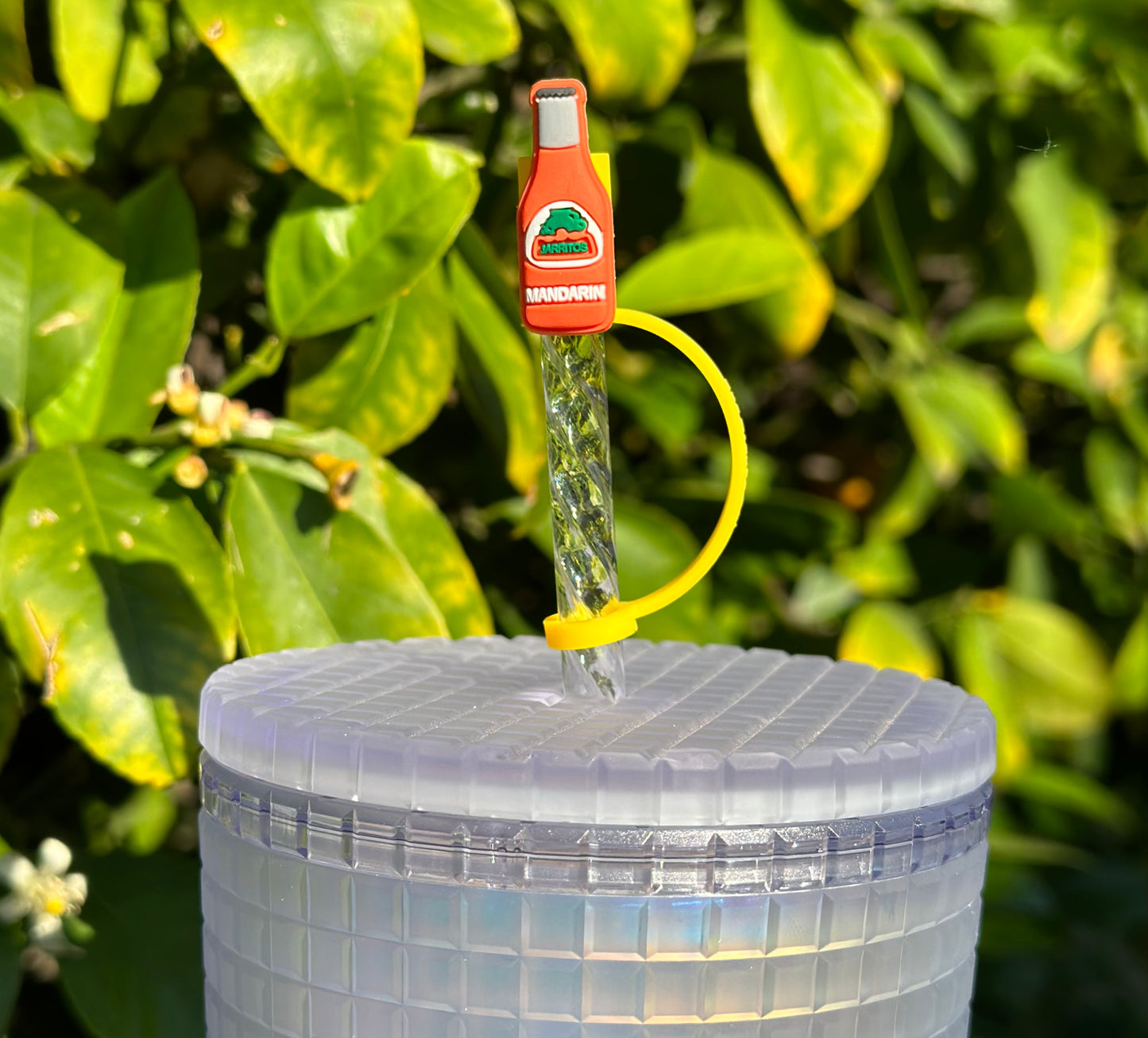 Mandarin Jarritos straw topper