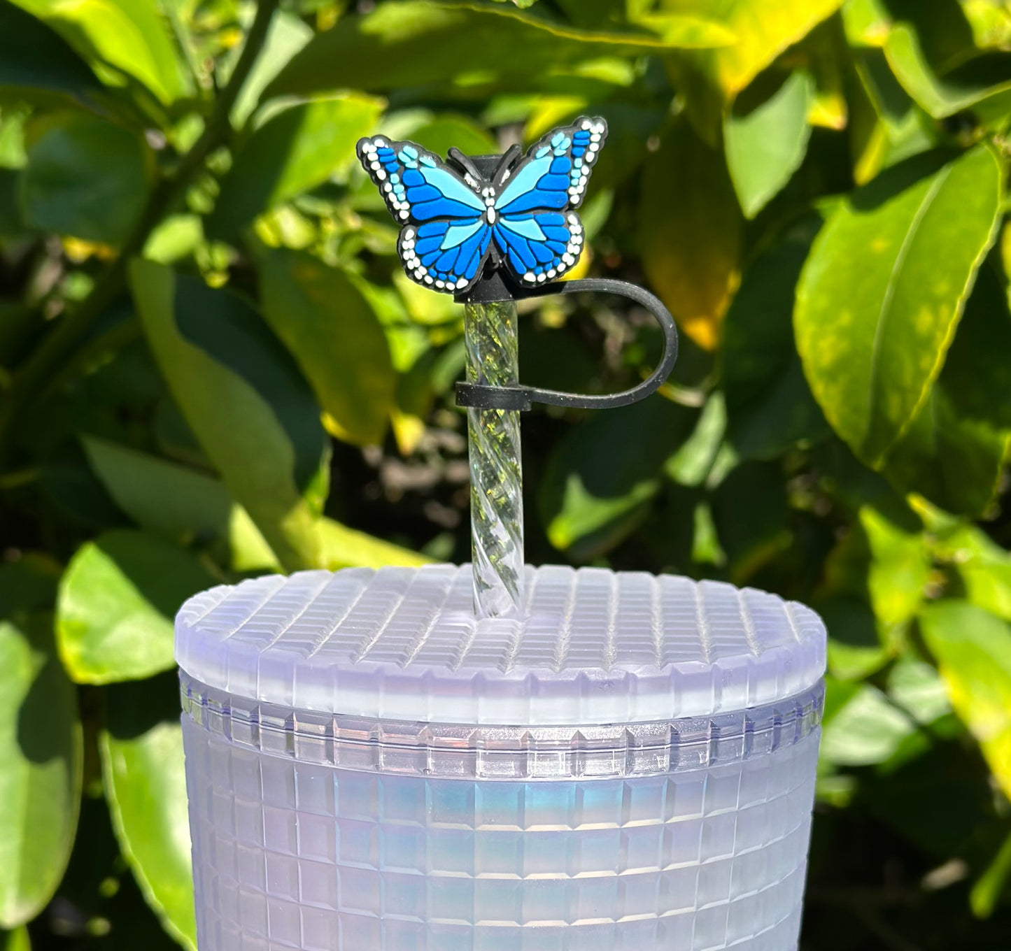 Blue butterfly straw topper